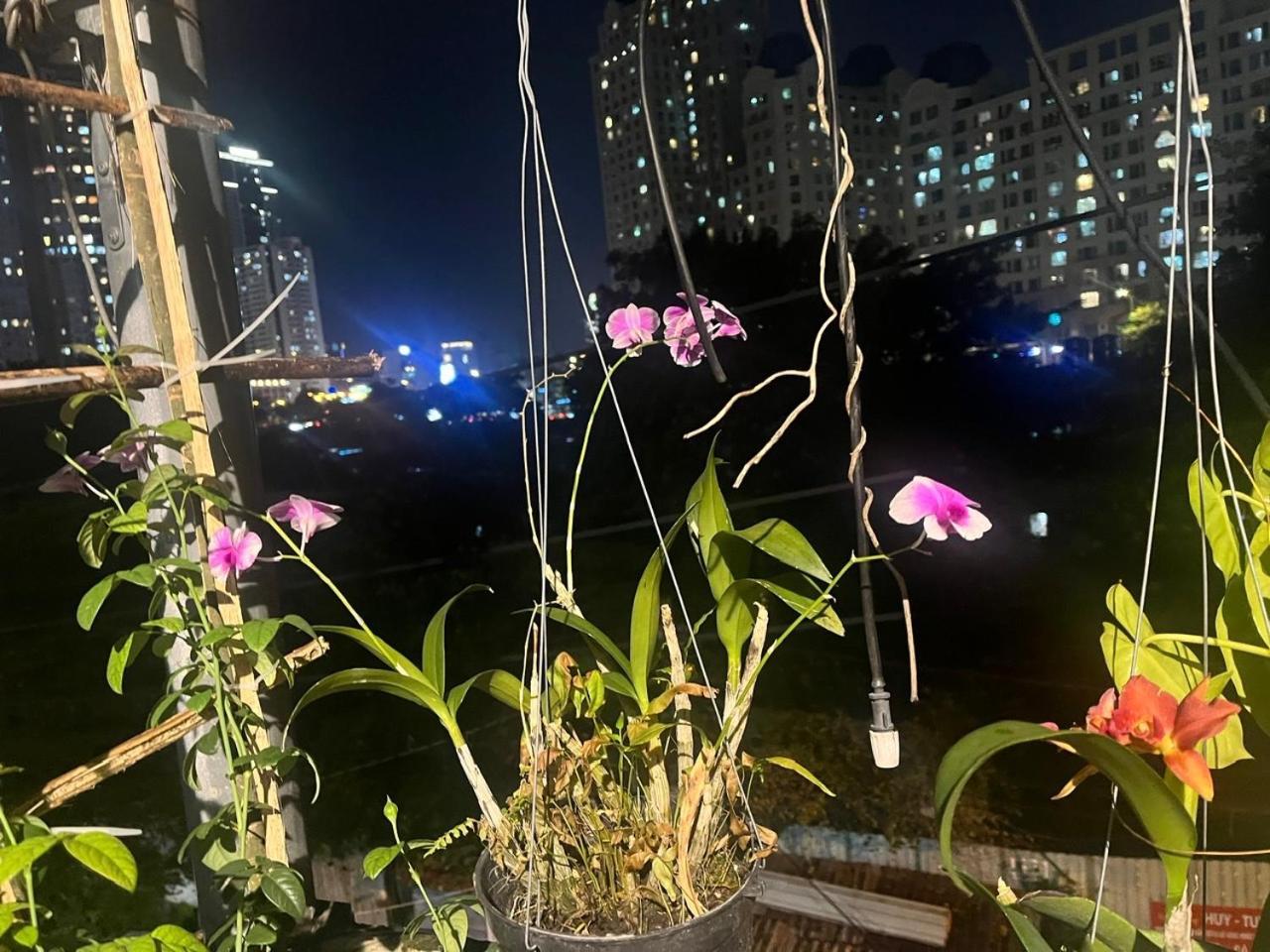 May House Binhthanh โฮจิมินห์ซิตี้ ภายนอก รูปภาพ